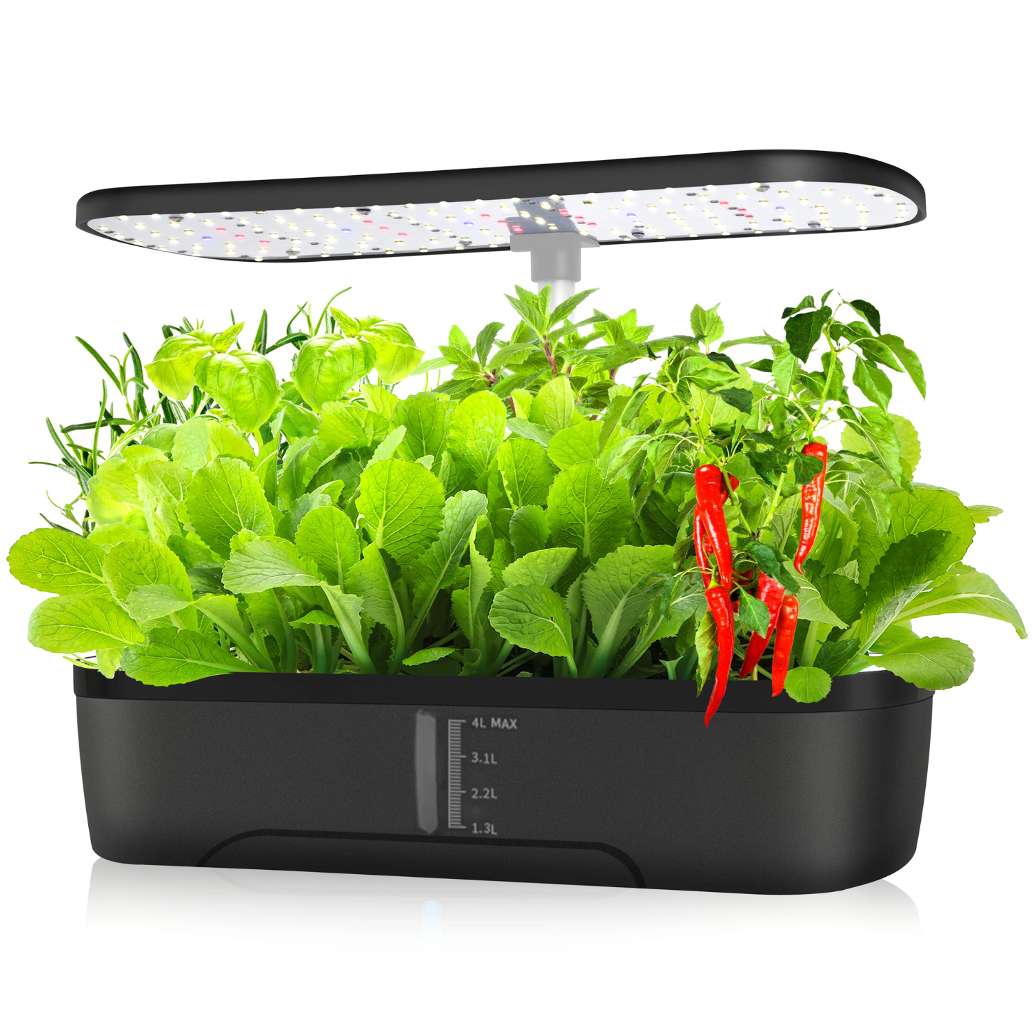 12-Pod Hydroponic Growing Kit | Grow Fresh Food Indoors Year-Round
