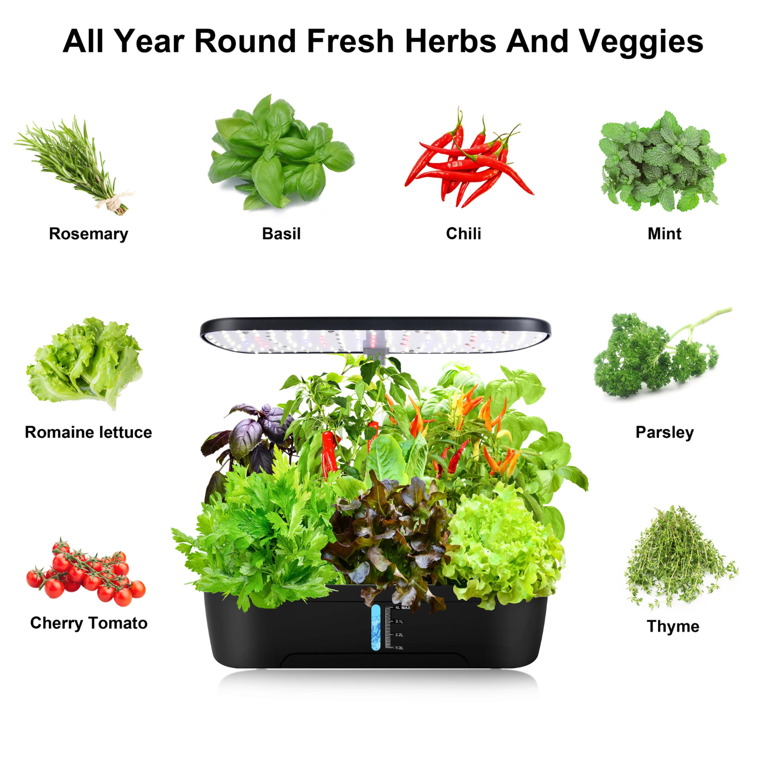 12-Pod Hydroponic Growing Kit | Grow Fresh Food Indoors Year-Round