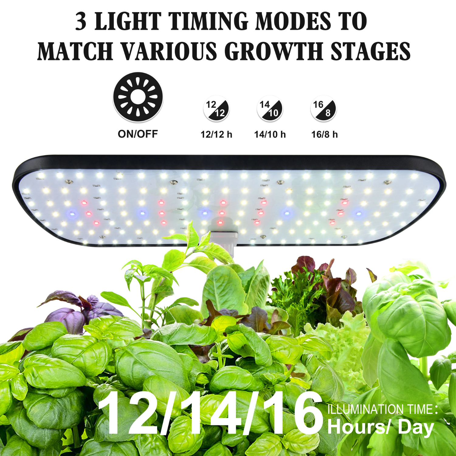 12-Pod Hydroponic Growing Kit | Grow Fresh Food Indoors Year-Round