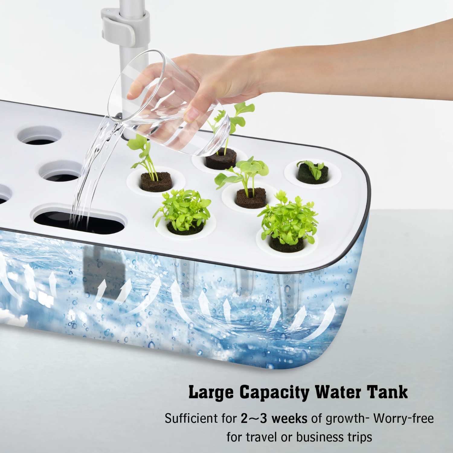 12-Pod Hydroponic Growing Kit | Grow Fresh Food Indoors Year-Round